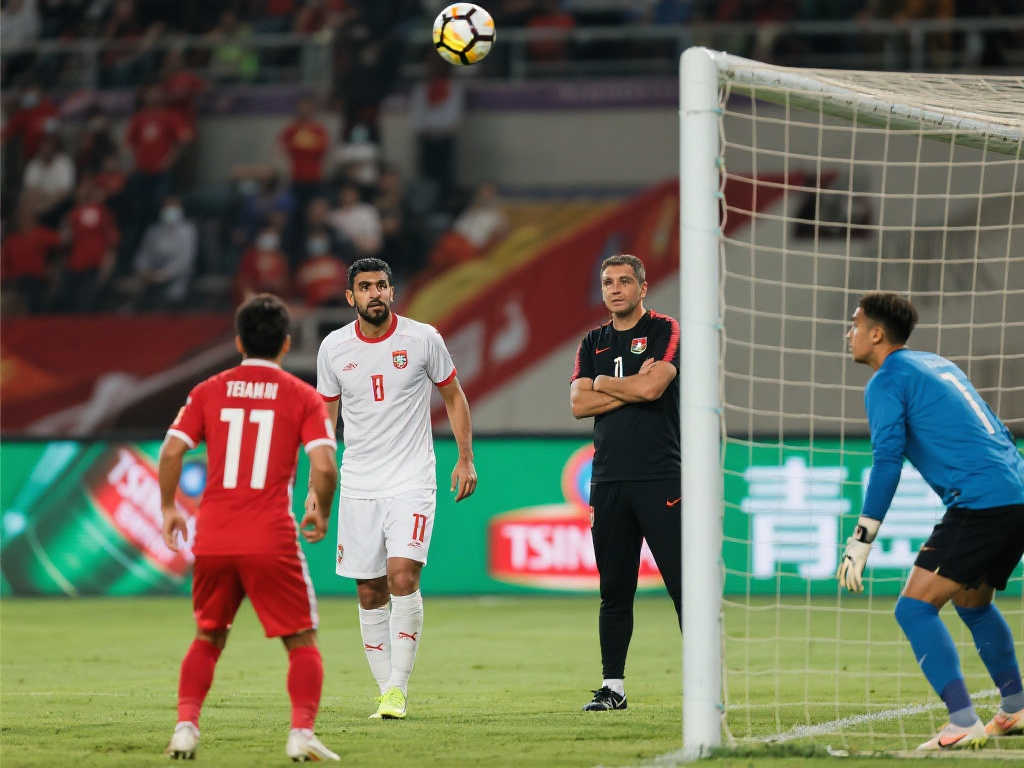 体表现的不 体表现的不